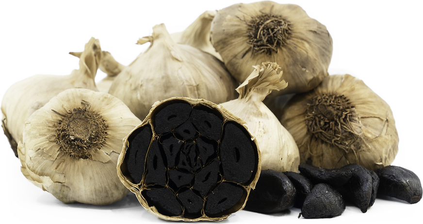 Ajo Negro