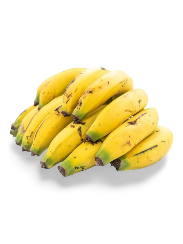 Banano Criollo