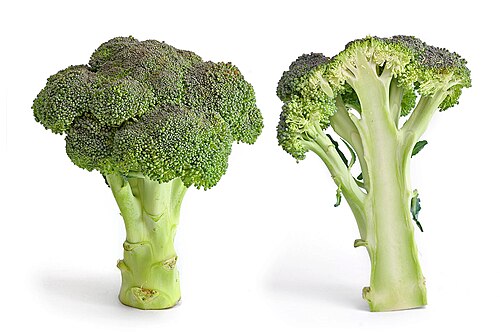 Brócoli