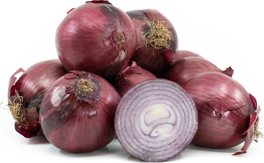 Cebolla Morada