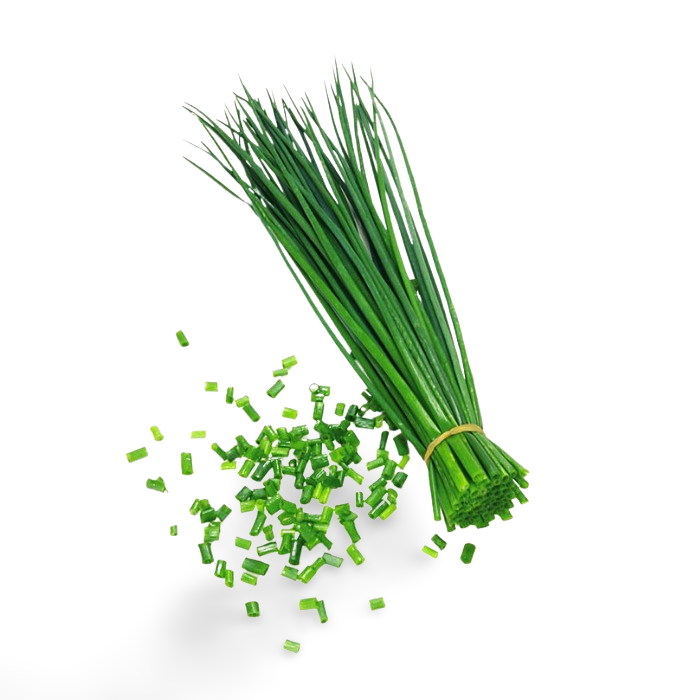 Chives (Cibulette)