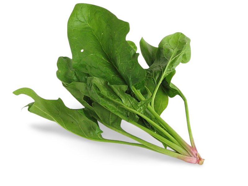 Espinaca Con Tallo