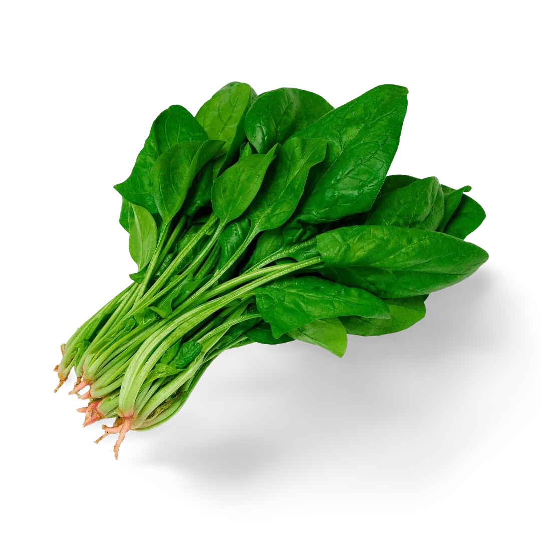 Espinaca