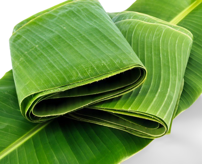 Hoja Para Tamal