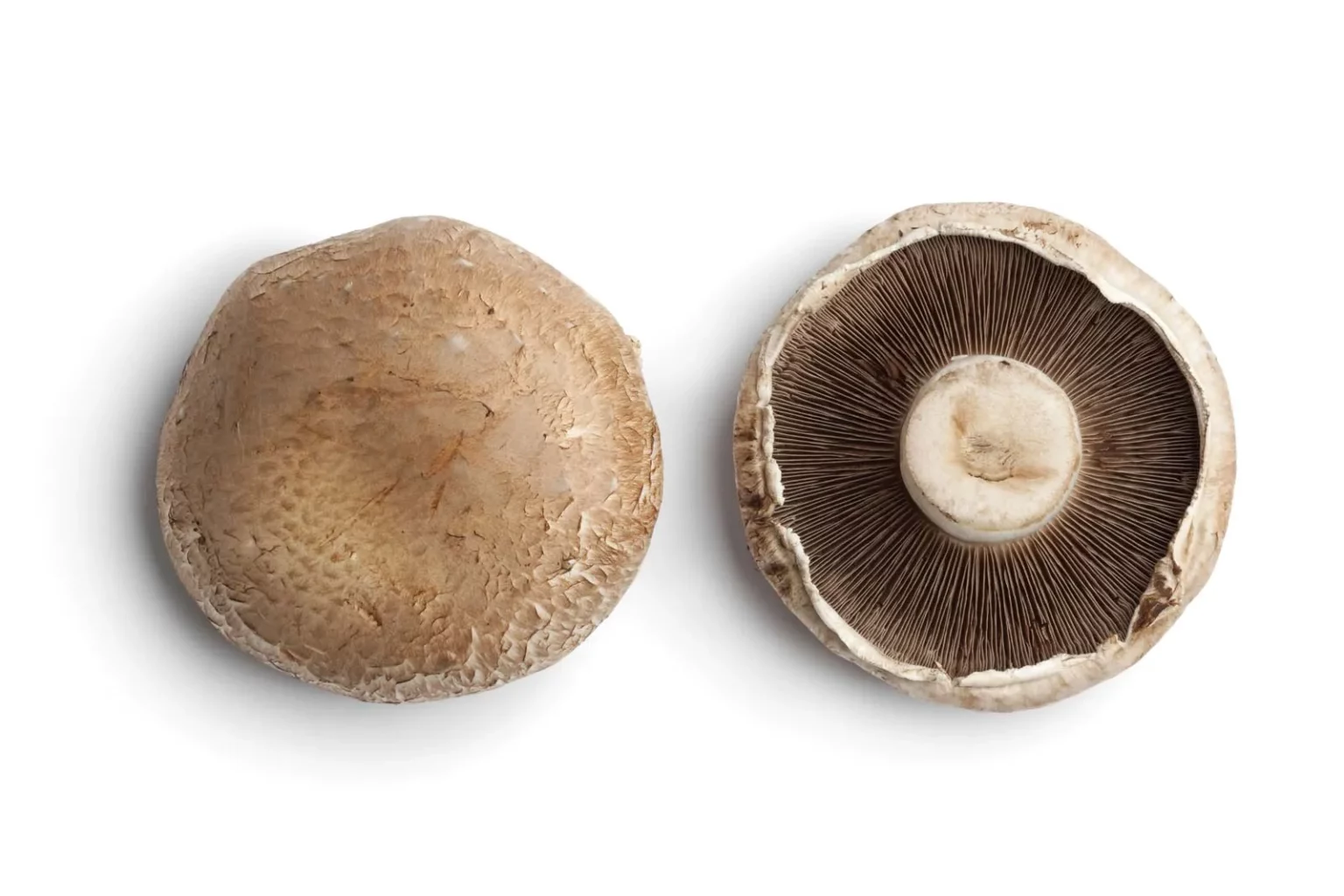 Hongos Portobello Bandeja 250g