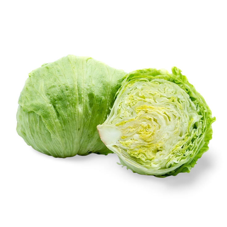 Lechuga Iceberg