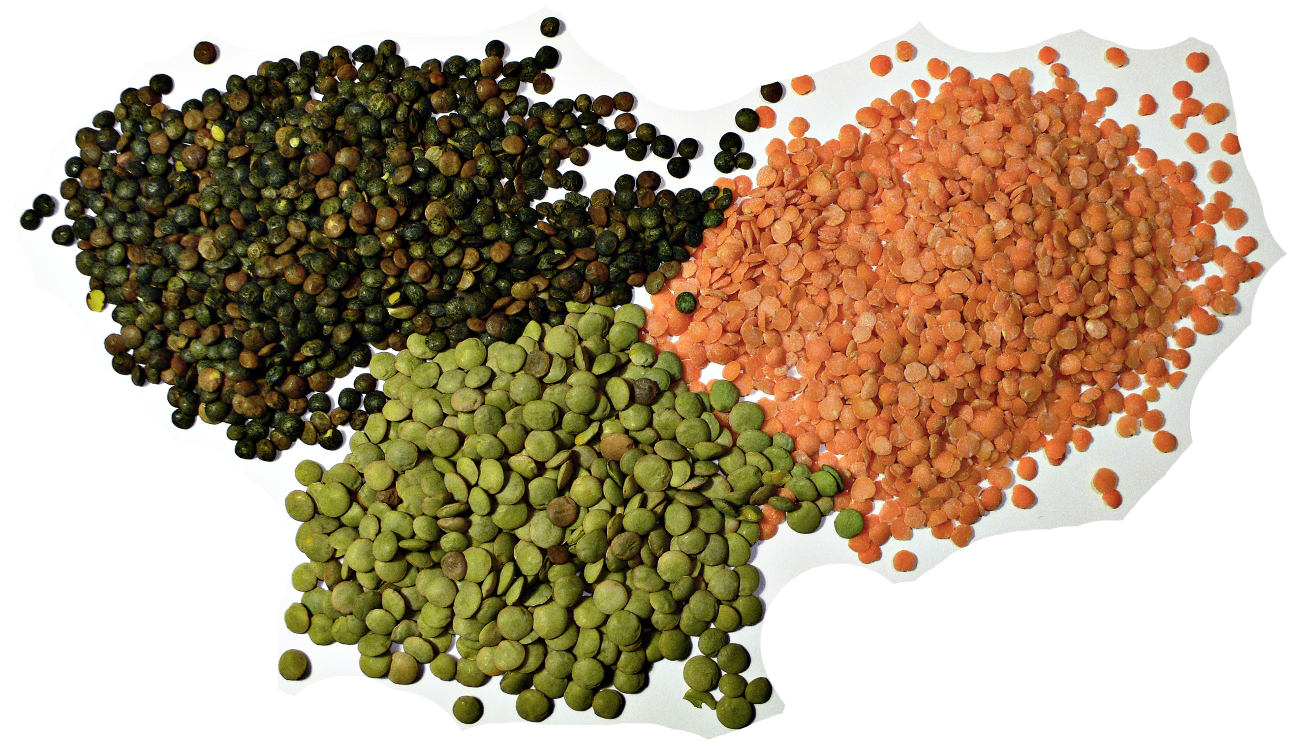 Lentejas Paquete 1kg