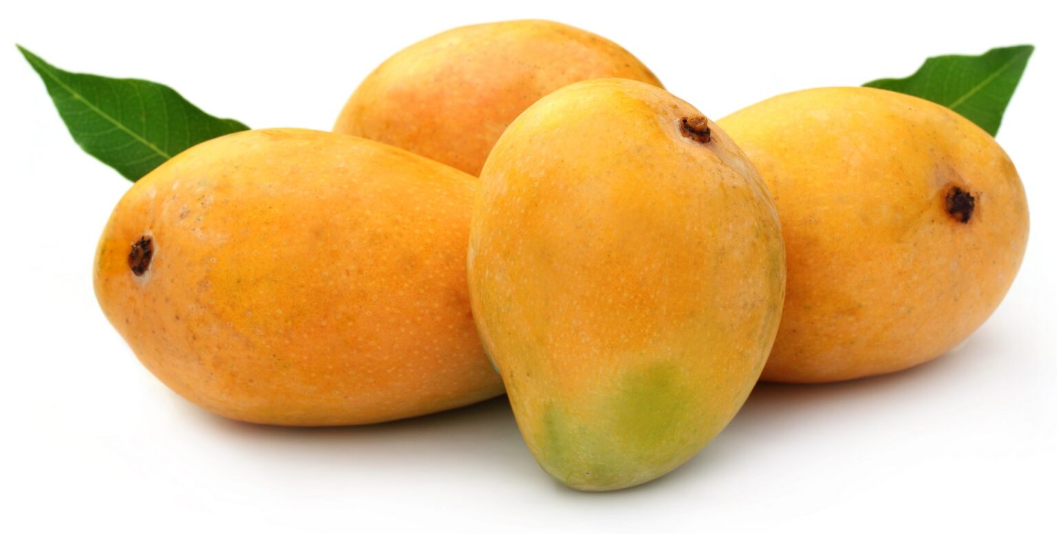 Mango Maduro