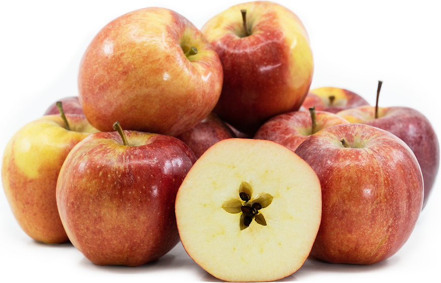 Manzana Gala