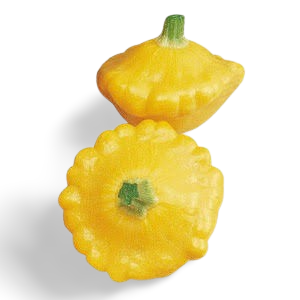 Mini Escalopín Amarillo