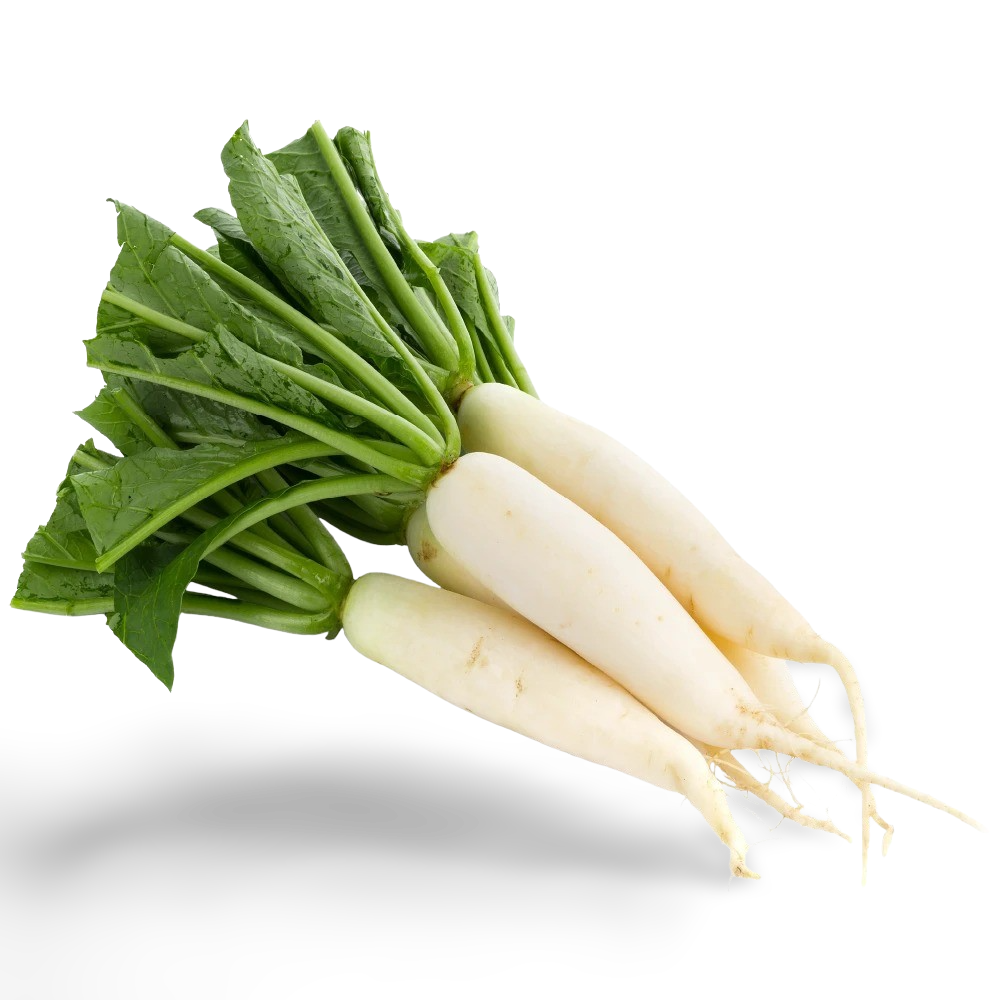 Nabo Blanco
