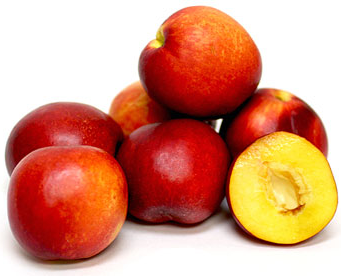 Nectarina