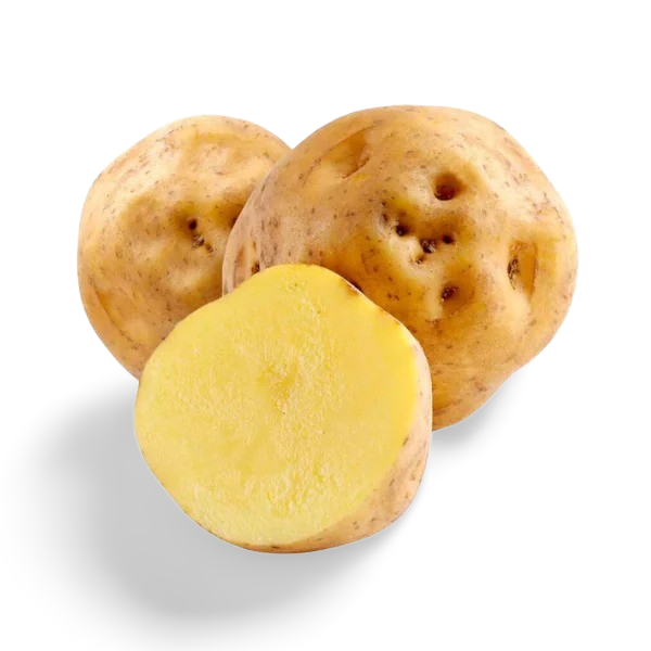 Papa Amarilla