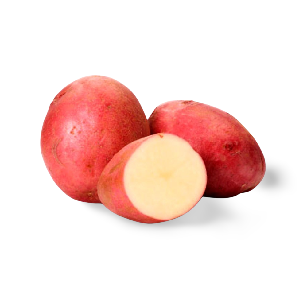 Papa Roja