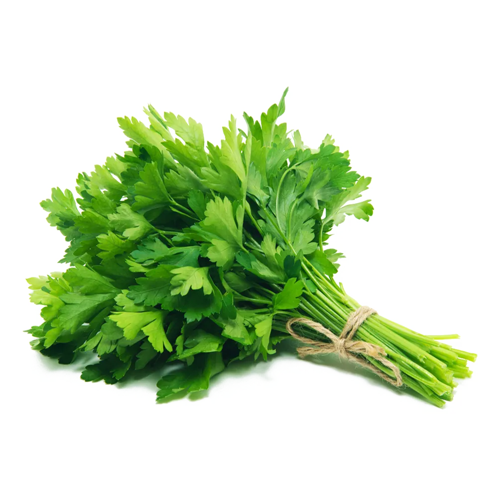Perejil Italiano Rollo