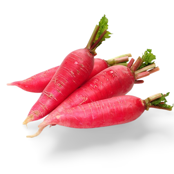 Rábano