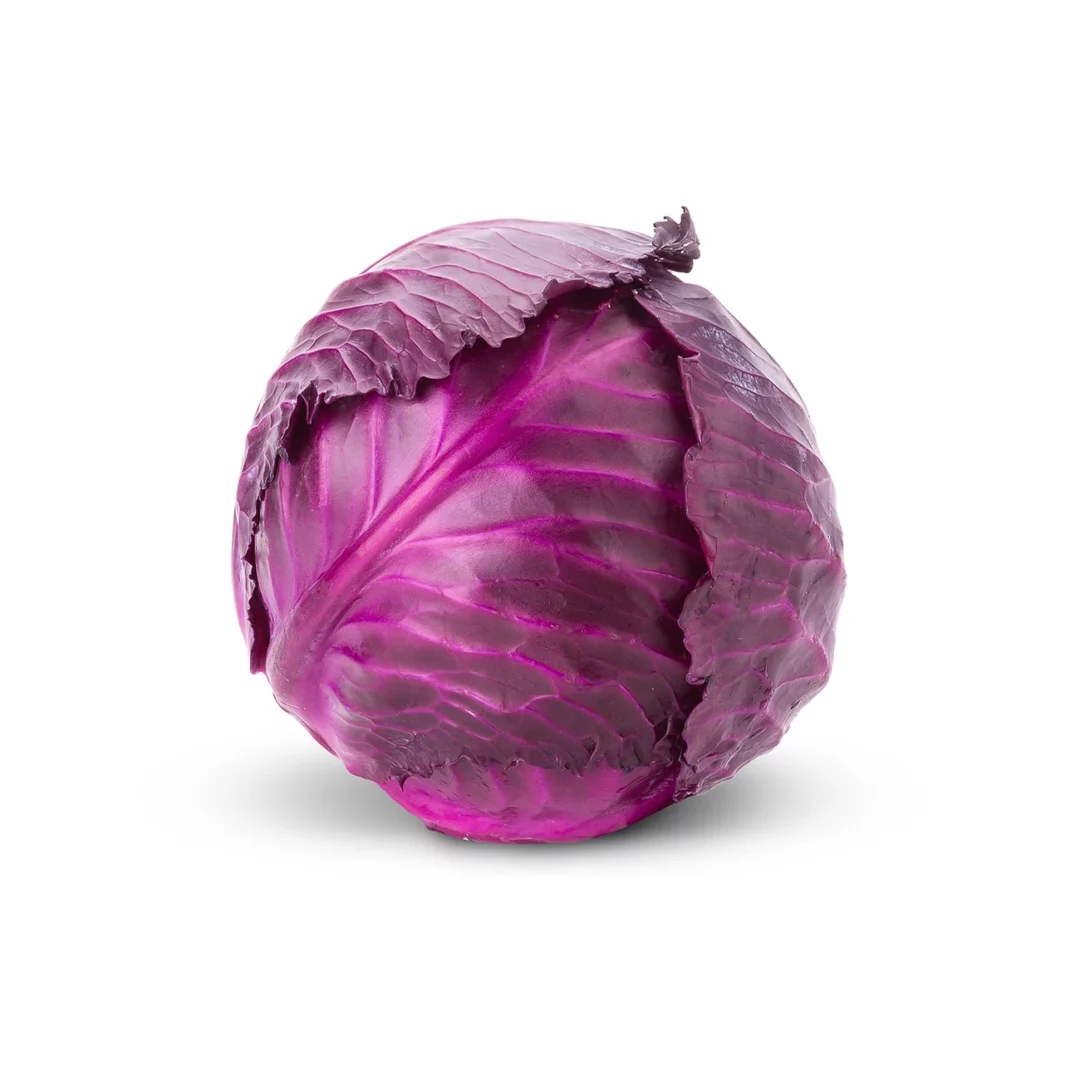 Repollo Morado