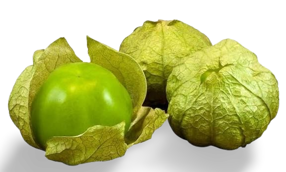 Tomate Mexicano