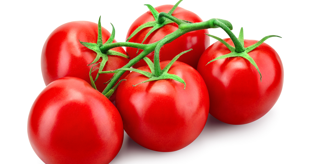 Tomate Primera