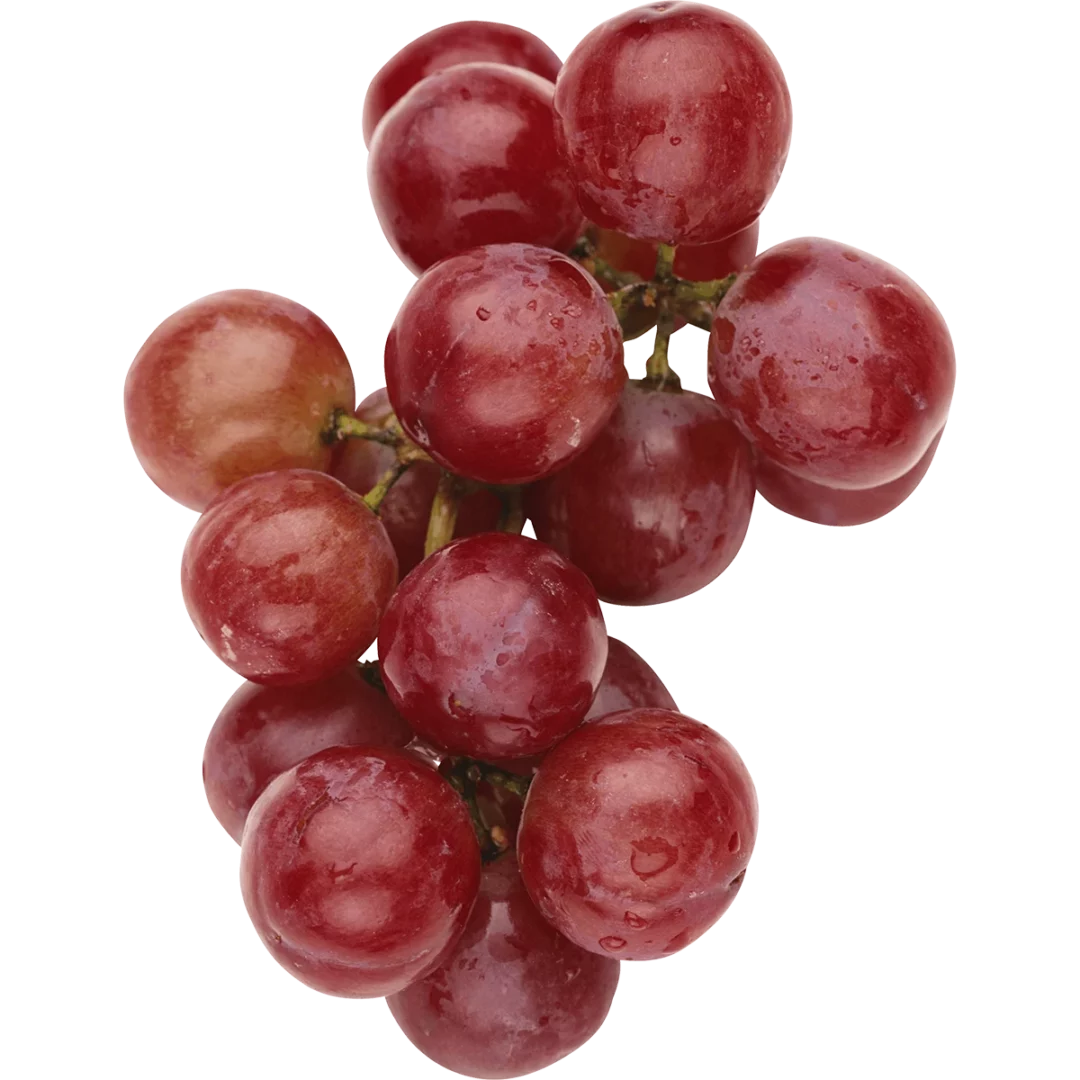 Uvas Globo