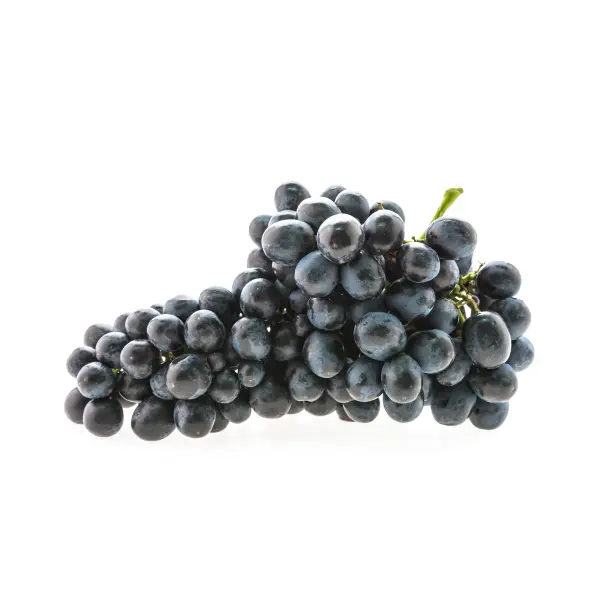 Uvas Negras