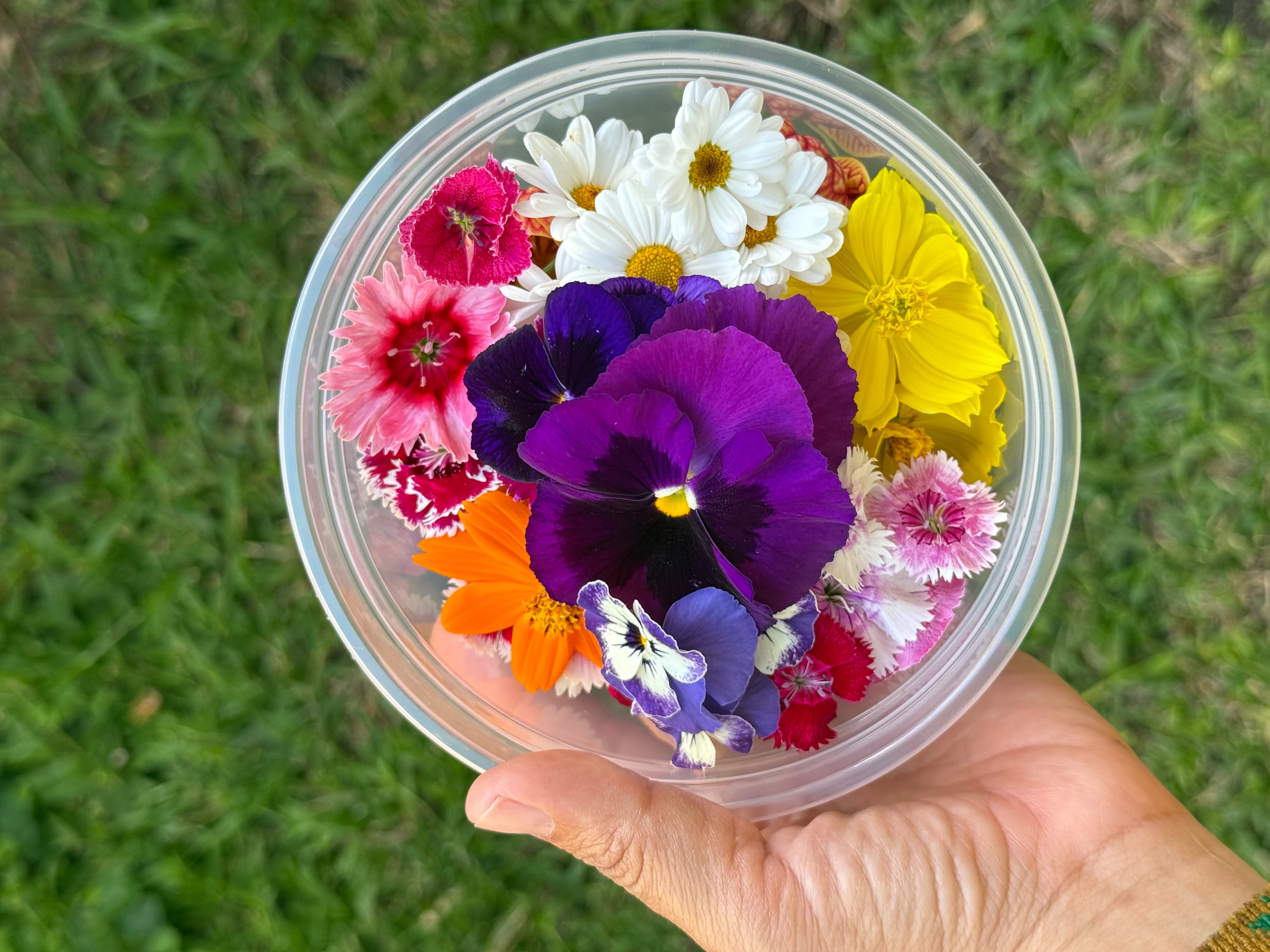 Mano sosteniendo un envase con flores comestibles