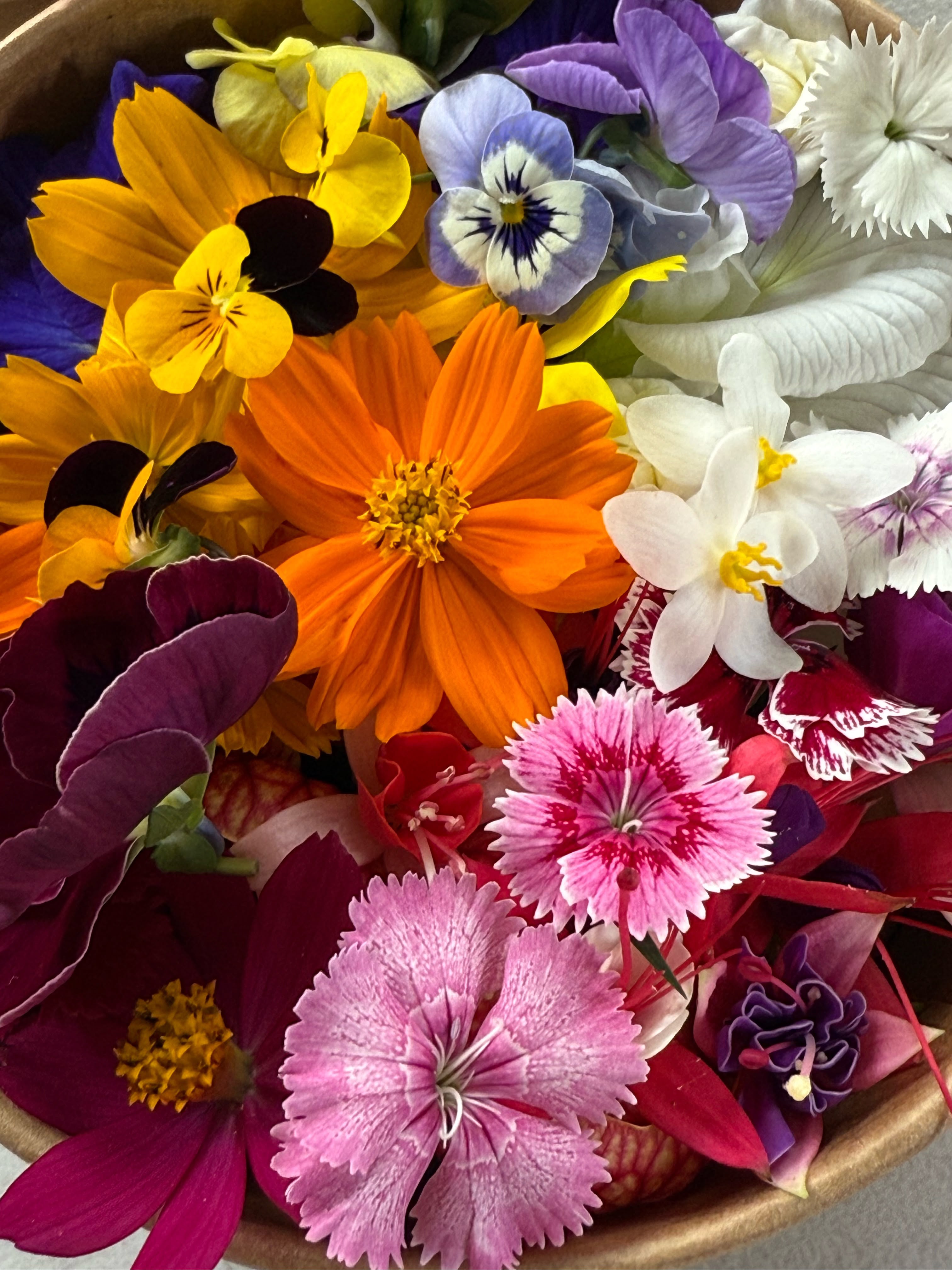 Flores comestibles recién cosechadas: cosmos, pensamientos y dianthus