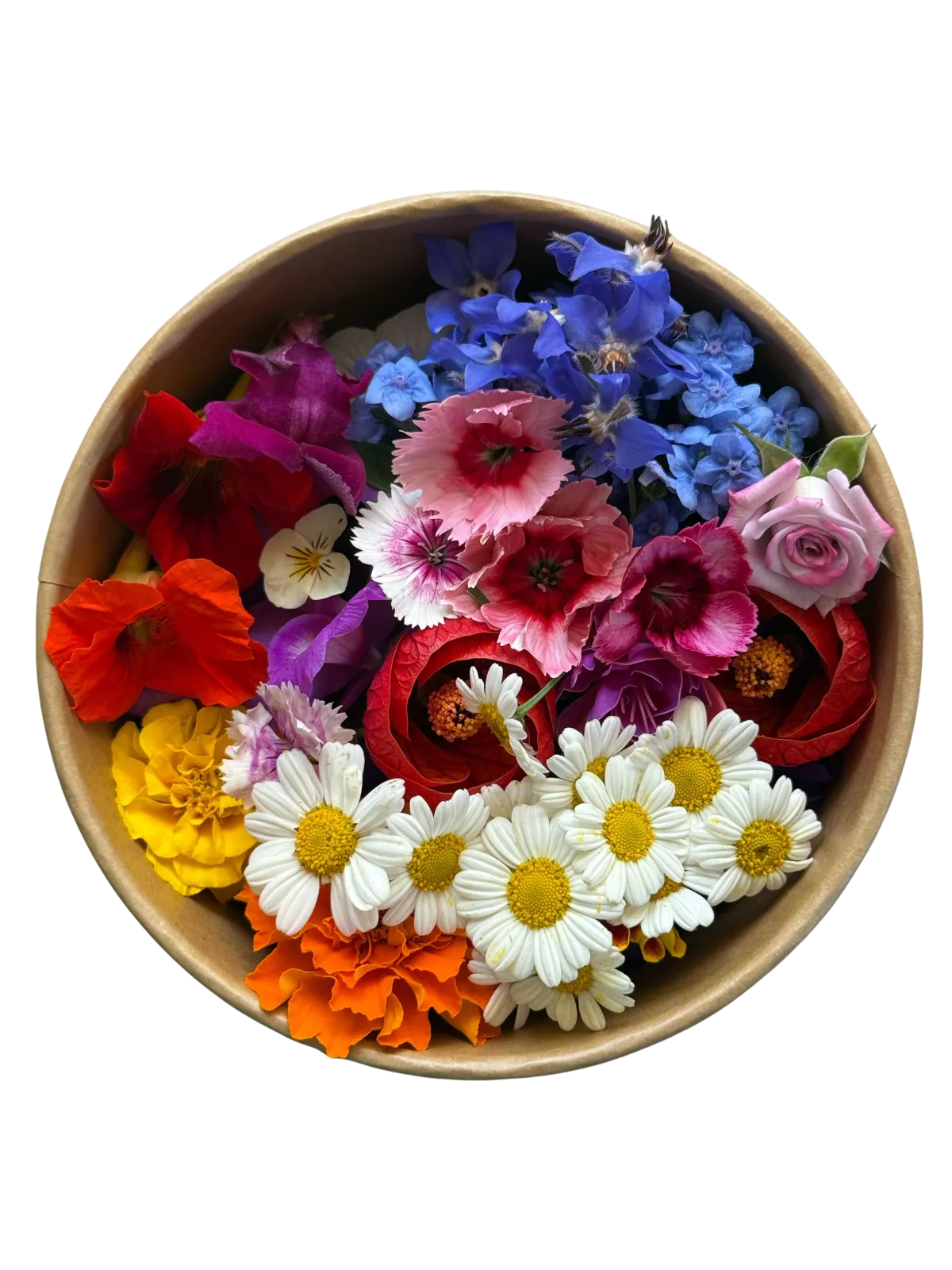 Tazón de claveles, margaritas blancas y flores azules
