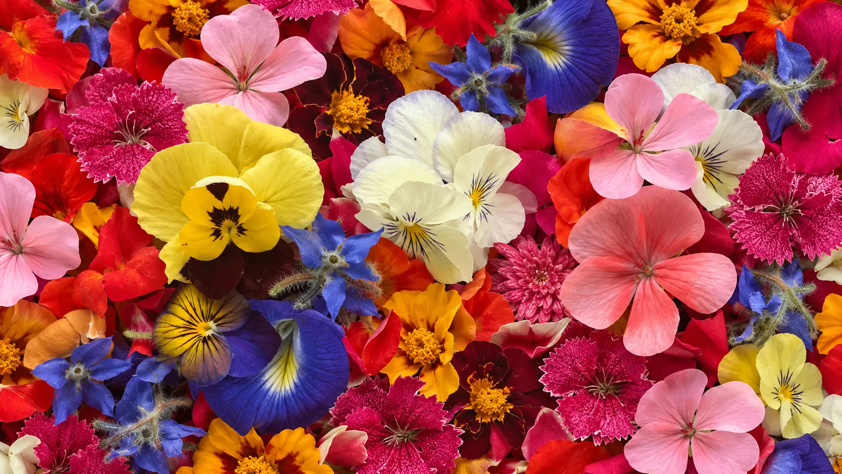 Flor Comestible Deshidratdas (65 Unid)
