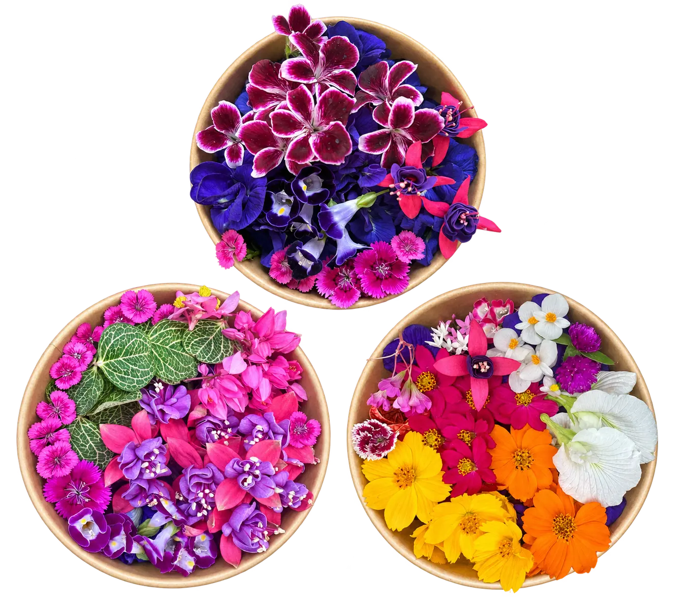 Tazón de flores comestibles de colores