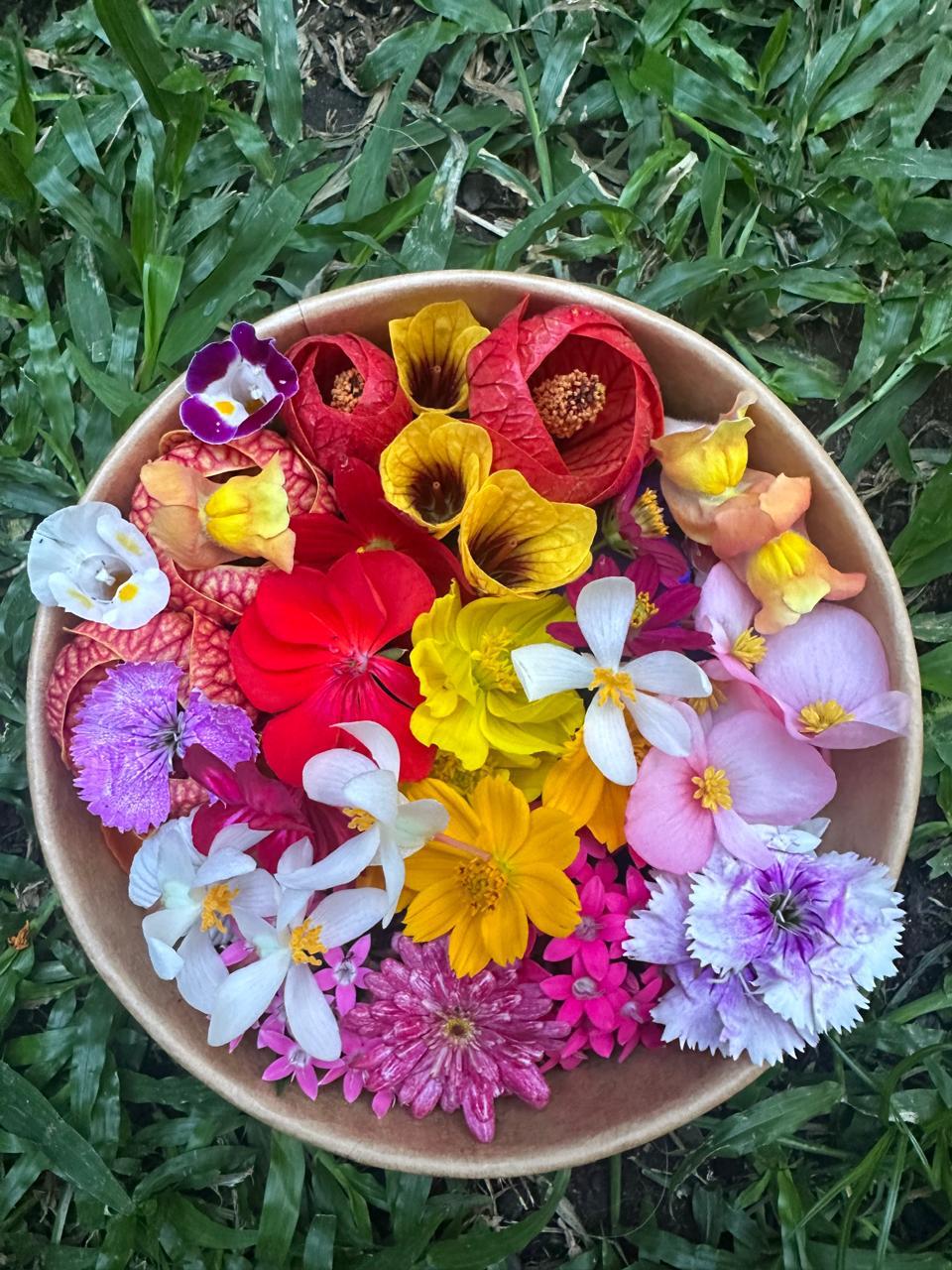 Tazón de flores comestibles rojas, amarillas y lilas sobre el césped