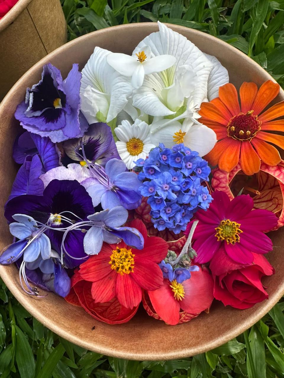 Tazón de flores azules, blancas y rojas con zinnias