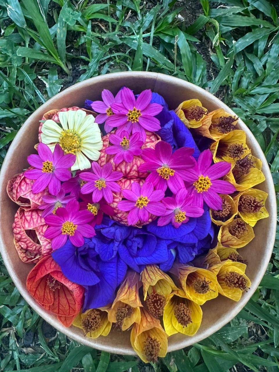 Tazón de flores fucsia, clitoria azul y flores amarillas