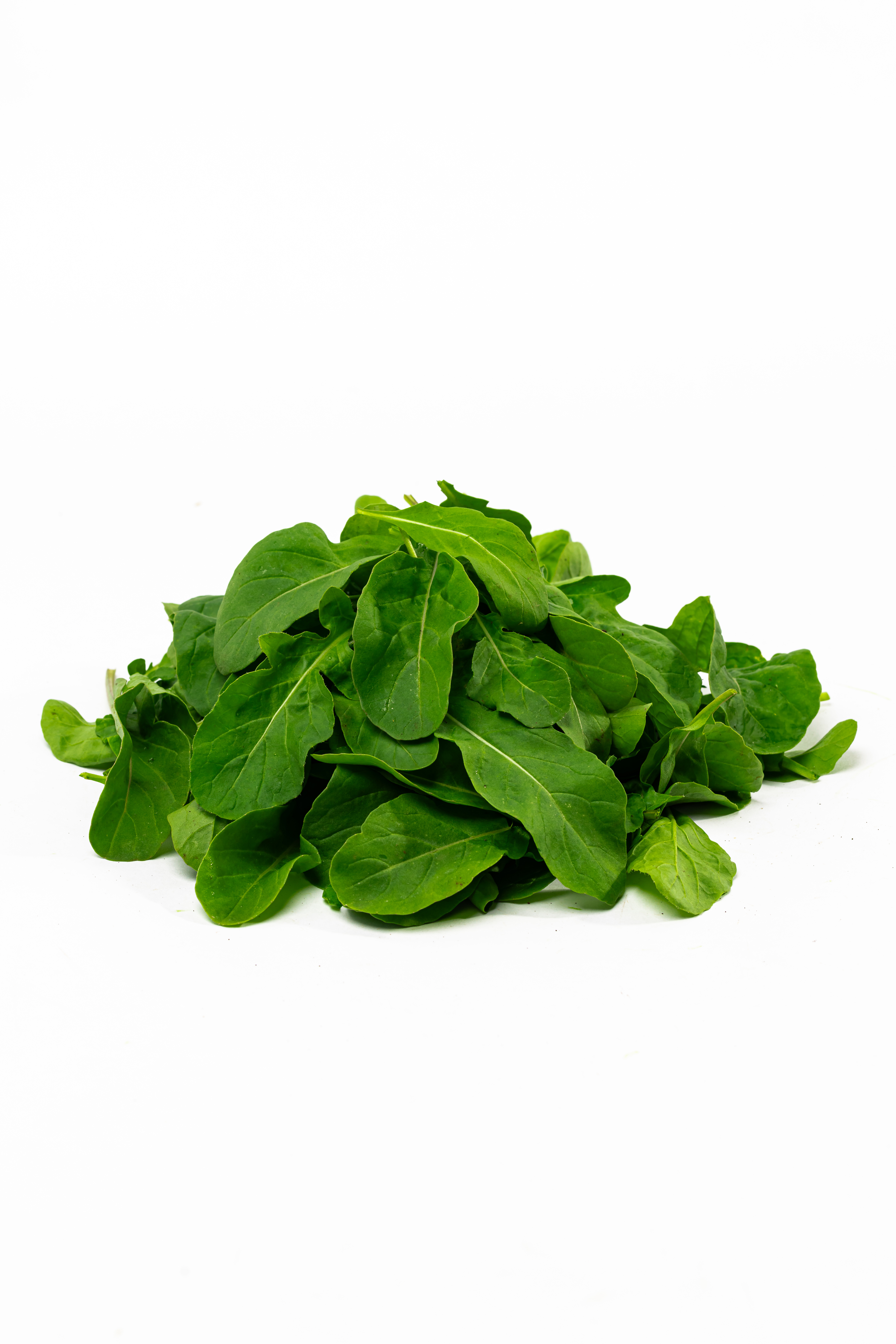 Arugula Baby