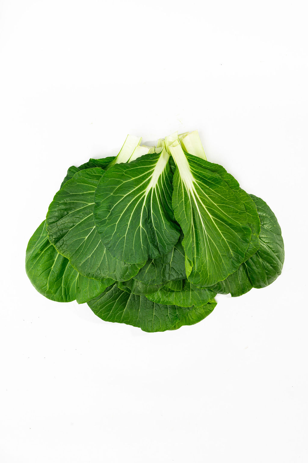 Pak Choi