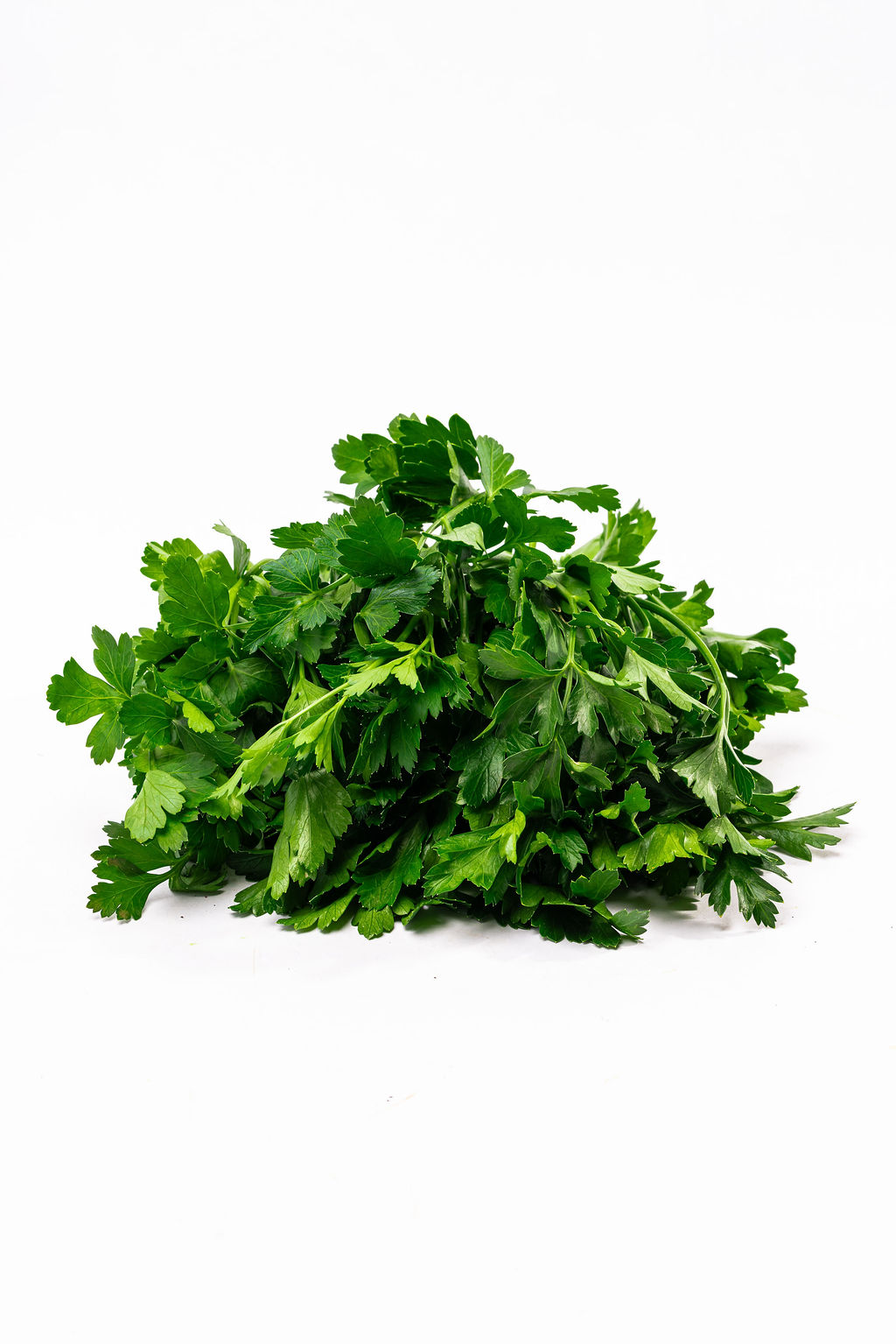 Perejil Italiano